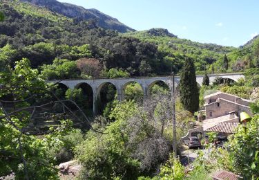 Percorso A piedi Saint-Jeannet - Circuit du Castellet - Photo