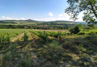 Tocht Stappen Chidrac - Les hauts de Chidrac - Photo