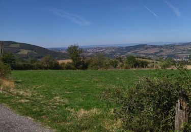 Tour Wandern La Valla-en-Gier - 42 valla en giers - Photo