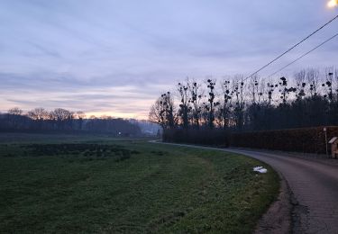 Percorso Marcia Tielt-Winge - A la découverte de Tielt 🥾 - Photo
