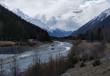 Trail Walking Chamonix-Mont-Blanc - Chamonix Les Bois désert Blanc  - Photo