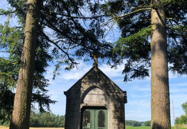 Tour Wandern Anhée - Maredsous ok - Photo