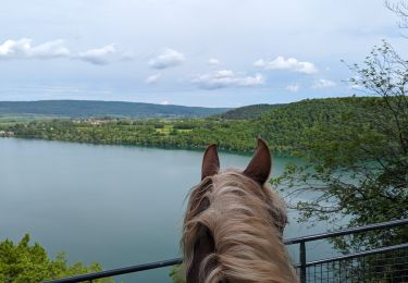 Percorso Equitazione Menétrux-en-Joux - suuntoapp-HorsebackRiding-2024-05-18T07-33-28Z - Photo