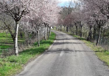 Tour Wandern Les Auxons -  13 03 20 - Photo