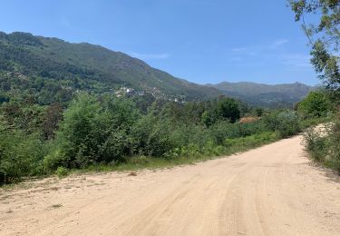 Tocht Stappen Rio Caldo - Sao Bento Peneda Gères  - Photo