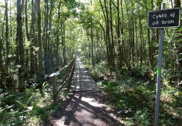 Tocht Te voet  - Lillsjön motionsspår 6km - Photo