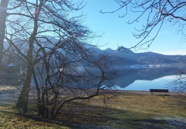 Randonnée A pied  - Lo 5 Zwerchecker-Steig (Lohberg) - Photo