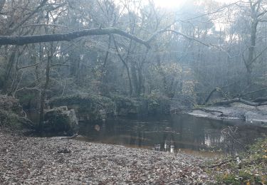 Randonnée Marche Saint-Morillon - Saint Morillon sud  ( C43.01) - Photo