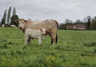 Percorso Marcia Vesly - Vesly - Ferme de Nainville - Le chêne - Gisancourt - voie verte - Noyers - Photo