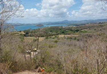 Trail Walking Les Anses-d'Arlet - Galoche - Esperance - Photo