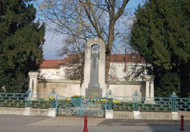 Tocht Te voet Champigneulles - Circuit de Bellefontaine - général ouest - Photo