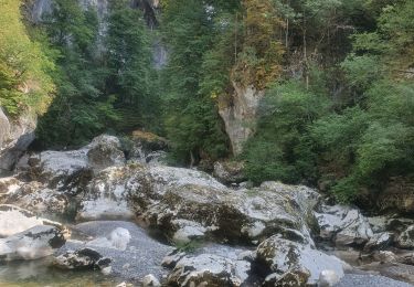 Tour Wandern Cusy - 14-08-2022 Pont de Cusy - Pont de l'abîme  - Photo