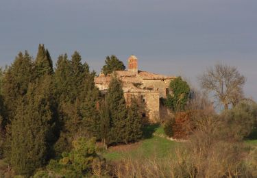 Randonnée A pied Pienza - Forteguerri - Photo