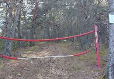 Trail Walking Comps-sur-Artuby - jabron bloqué par la haie métallique  - Photo