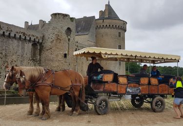Percorso Marcia Sarzeau - Autour d' Uscinio - Photo