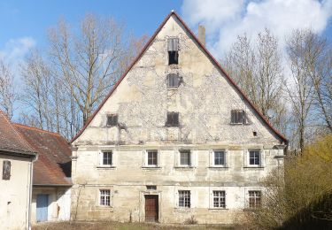 Excursión A pie Eckental - Wanderweg Rundweg Oberschöllenbach - Photo