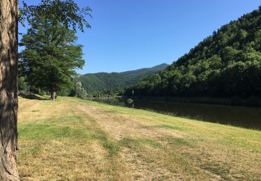 Tocht Stappen Retournac - Bords de Loire à Retournac - Photo