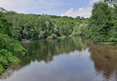 Tour Wandern Guyancourt - Etang de la Geneste - Photo