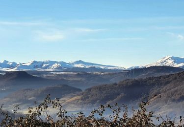 Trail Walking Montaigut-le-Blanc - Montaigut_Tour_Piniere - Photo