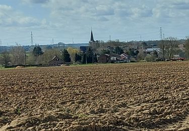 Excursión Senderismo Fleurus - Marche Napoléon  - Photo