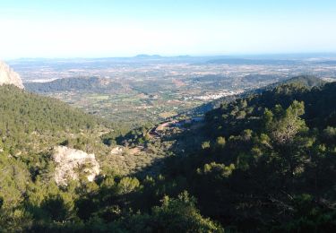 Trail On foot Alaró - ES-14 AC - Photo