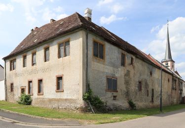 Randonnée A pied Himmelstadt - Ortswanderweg Himmelstadt 1 - Photo