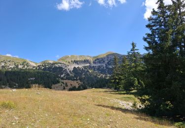 Tocht Stappen Saint-Agnan-en-Vercors - balade vers Tiolache depuis Pré Râteau 27 08 2024 - Photo