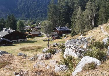 Excursión Senderismo Chamonix-Mont-Blanc - Les Tines,le chapeau retour par les gorges de l'Aveyron  - Photo