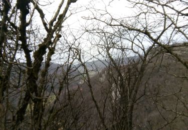 Randonnée Marche Arbois - Arbois - Photo