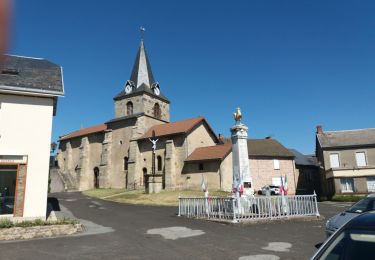 Trail Electric bike Saint-Priest-des-Champs - boucle Saint Priest des Champs Saint Gervais d'Auvergne  - Photo