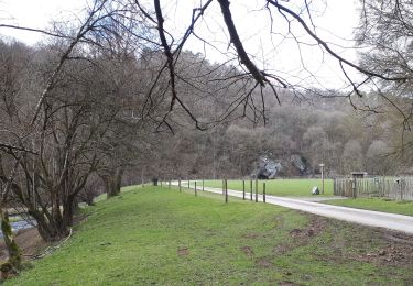 Tour Wandern Rochefort - La Lesse - BELVAUX et son gouffre - Photo