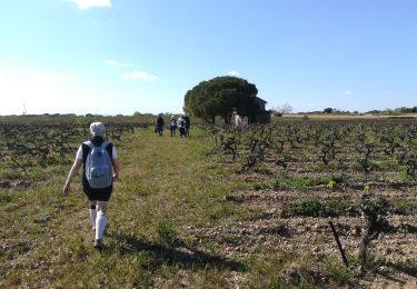 Tocht Stappen Vauvert - Vauvert le 14 04 2021  - Photo