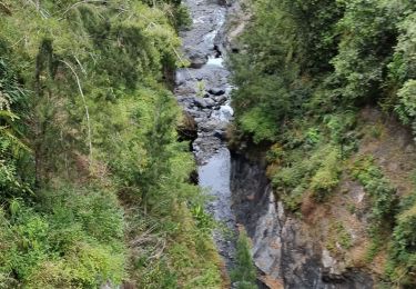 Trail Walking Salazie - tour du piton maillot - rivière du mat - Photo