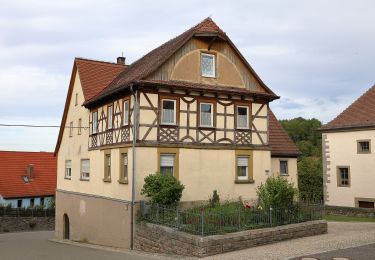 Excursión A pie Niederstetten - Liebliches Taubertal 24 Vorbach - Photo