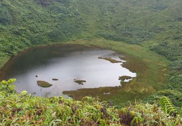 Tocht Stappen Saint-Claude - Guadeloupe - La Soufrière - La Citerne - Photo