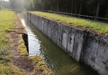 Excursión A pie Schwarzenbruck - Wasserwirtschaftlicher Lehrpfad - Photo