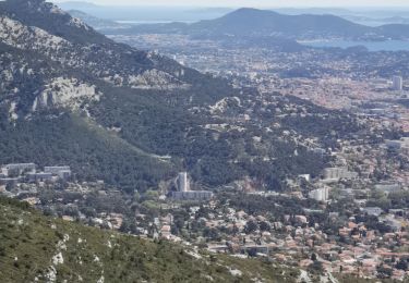 Tour Wandern Ollioules - Le croupatier - Photo