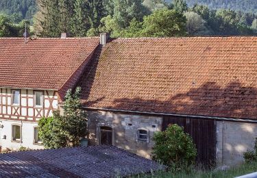 Percorso A piedi Bundorf - Lauftour BUN2 - Photo