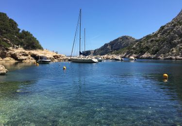 Tocht Stappen Marseille - Calanques Marseille - Photo