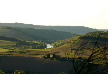 Tour Zu Fuß Konz - G9: Konz <=> Saarburg - Photo