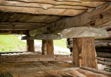 Tour Zu Fuß Gurin - (SI E63) Bosco Gurin - Campo di Vallemaggia - Photo