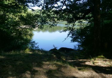 Trail Walking Saissac - le lampy - Photo