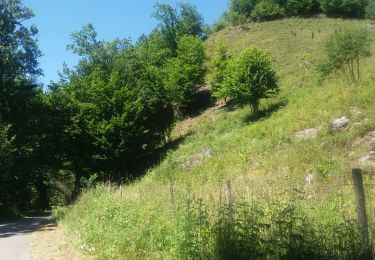 Percorso Marcia Durbuy - barvaux . durbuy . narvayx - Photo