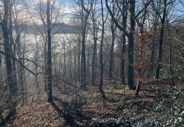 Randonnée Marche Profondeville - Balade à Dave - Photo