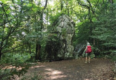 Tocht Stappen Plan-d'Aups-Sainte-Baume - Petit Paradis  - Photo