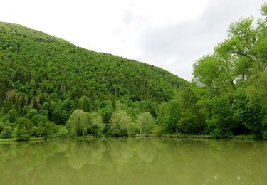 Excursión A pie Ig - Iška - Gornji Ig - Krim - Photo