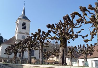 Percorso Marcia Maraye-en-Othe - Maraye Vosnon 23,5km le 08/03/2021 - Photo