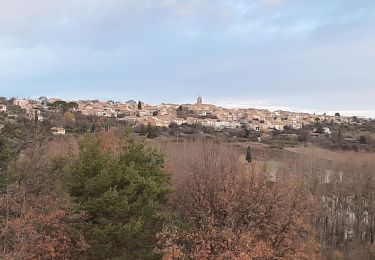Trail Walking Puimoisson - PUIMOISSON RIEZ o n  - Photo