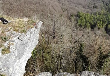 Excursión Senderismo Viéville - circuit de la Roche Bernard - Photo