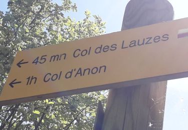 Trail Walking Freissinières - Fressiniere  les Roberts  Lac de la Lauze - Photo